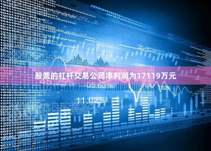 股票的杠杆交易公司净利润为17119万元
