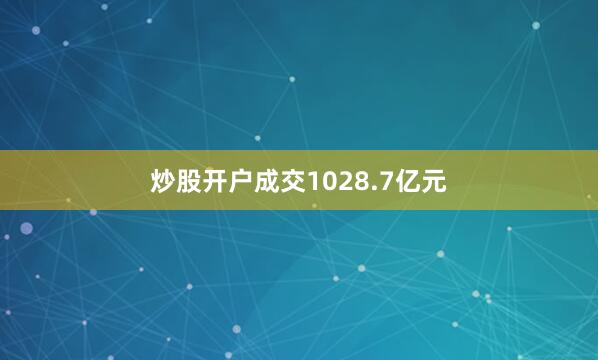 炒股开户成交1028.7亿元