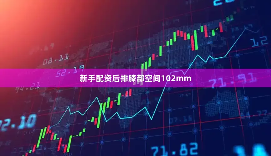 新手配资后排膝部空间102mm